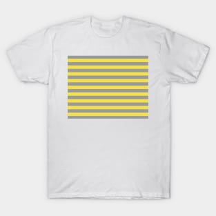 Stripes in the new colors of the year 2021 T-Shirt